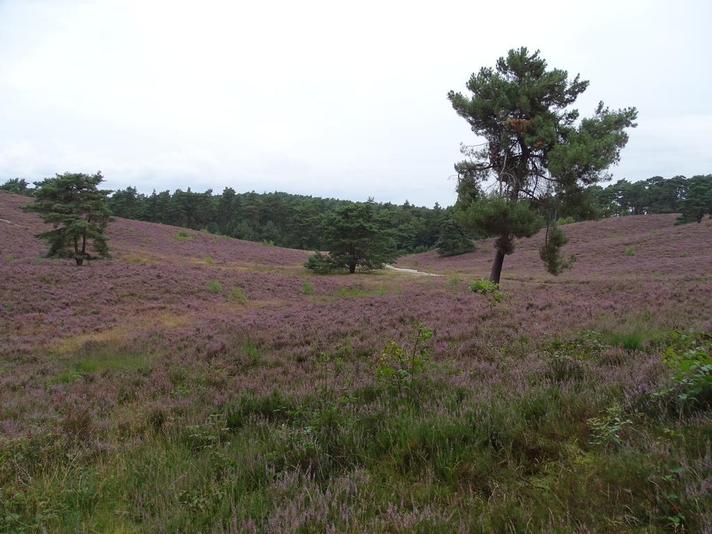 Vakantie Appartement Paedshof Ransdaal Exteriör bild