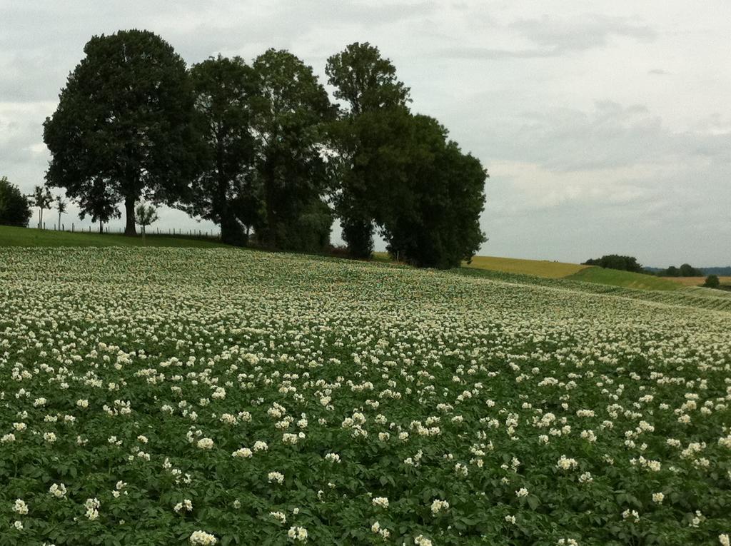 Vakantie Appartement Paedshof Ransdaal Exteriör bild